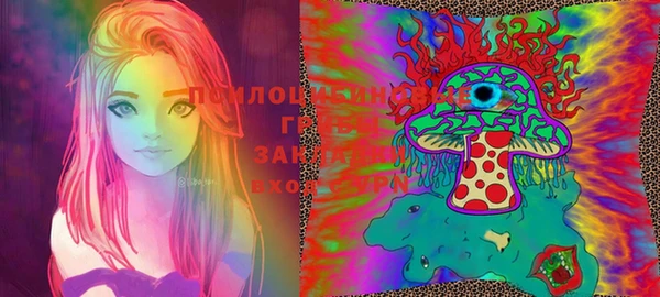 шишки Балабаново