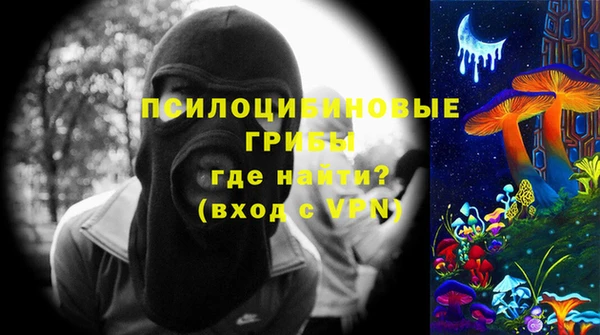ГАЛЛЮЦИНОГЕННЫЕ ГРИБЫ Белоозёрский